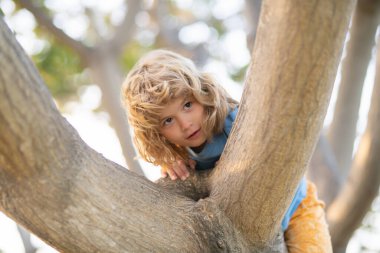 Çocuk ağaç dalına sarılıyor. Ağaç dalında küçük bir çocuk. Çocuk ağaca tırmanıyor. Dışarıda oynayan aktif bir çocuk.