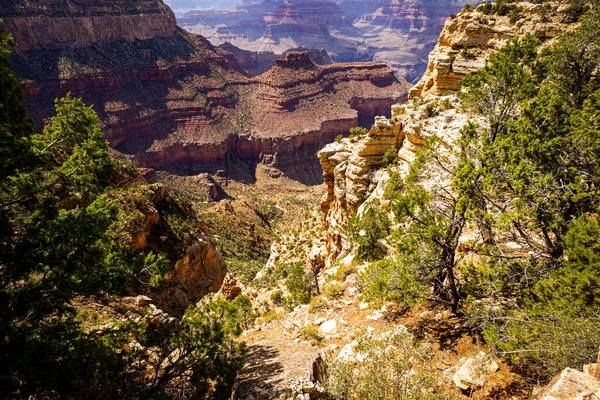 Grand Canyon National Park North Rim Landscape Canyon National Park — Stock Photo, Image