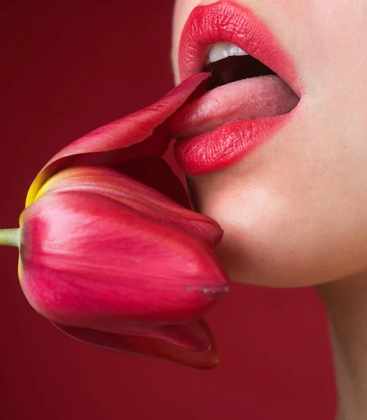 セクシーな口だ 官能的な女性の唇を閉じてください 公開され 魅惑的な 親密なファンタジー 化粧品のリップグロス マクロリップ 情熱的 誘惑シンボル エロチカ挑発的なアイコン — ストック写真
