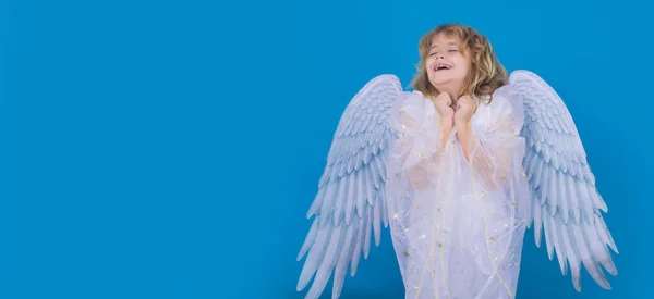 天使般的孩子孤立的工作室拍摄 可爱的孩子 有天使般的翅膀 丘比特 情人节的概念 宽横幅全景头复制空间 — 图库照片