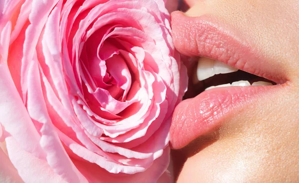 柔情似水柔和的天然唇 粉红的玫瑰 温柔性感的女人嘴 关爱和柔情 特写美丽柔嫩的唇 粉红的玫瑰花朵 温泉和化妆品 温柔的触摸 — 图库照片