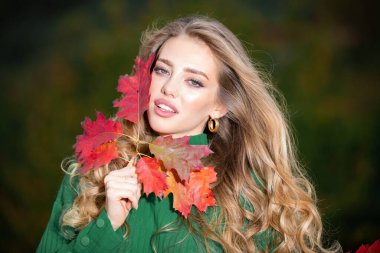 Sonbaharda güzel bir kız. Genç kadın sonbaharda sarı sonbahar yaprakları topluyor. Güzel kadın, sonbahar sarısı yaprağını tutar ve yüzüne düşer. Sonbahar döneminde şehvetli bir kadının portresi.