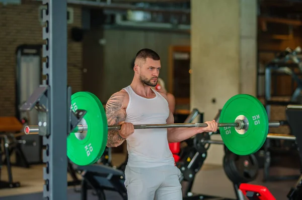 Handsome Fit Muscular Caucasian Man Workout Gym Weight Pumping Muscles — Stock Fotó