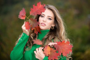 Sonbaharda güzel bir kız. Genç kadın sonbaharda sarı sonbahar yaprakları topluyor. Güzel kadın, sonbahar sarısı yaprağını tutar ve yüzüne düşer. Sonbahar döneminde şehvetli bir kadının portresi.