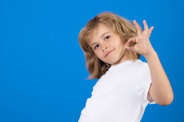 Portrait of cute smiling child with okay gesture, isolated studio background. Successful kid gesturing, excellent sign, ok gesture