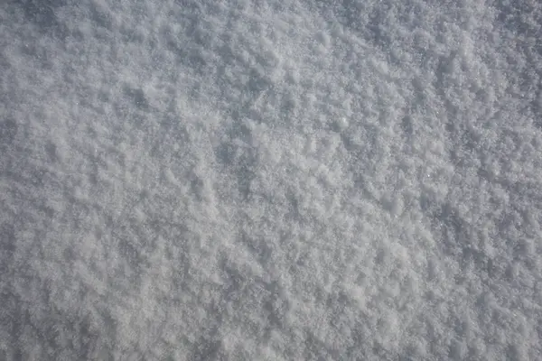 Snow background, snow texture. Top view of the snow. Winter texture for design