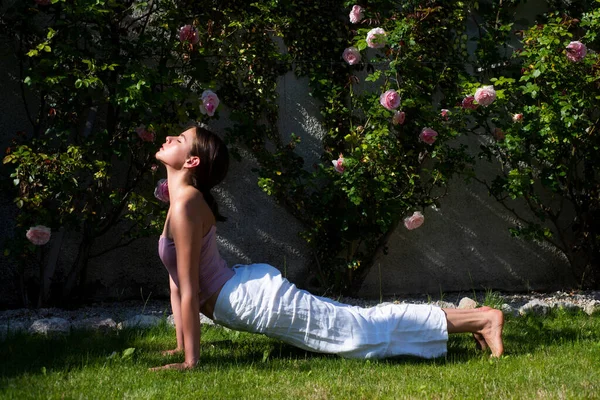 Yoga Fitness Treinamento Grama Verde Mulher Esticar Jovem Praticando Ioga — Fotografia de Stock