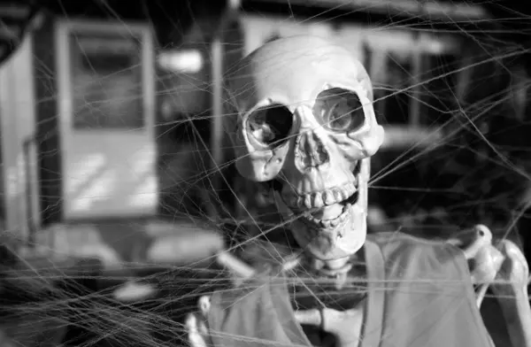 Feliz Esqueleto Halloween Retrato Esqueleto Aire Libre —  Fotos de Stock