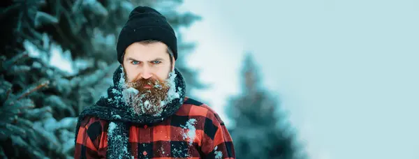 Portrait of serious bearded man in snow. Angry winter man with beard in snow on serious face. Brutal bearded man with snowy beard. Brutal hipster in in winter snowy. Winter man for Christmas banner