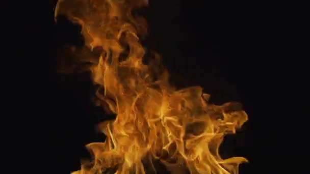 Φωτιά Μαύρο Φόντο Αφηρημένο Φόντο Φωτιάς Μεγάλη Φλεγόμενη Φωτιά Μεγάλη — Αρχείο Βίντεο