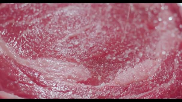 Costela Osso Carne Crua Fresca Aproximadamente Fechar Pedaço Fresco Carne — Vídeo de Stock