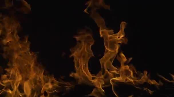 燃料に対する熱エネルギー 黒い背景に点灯する ブレイズフレームオーバーレイバック — ストック動画