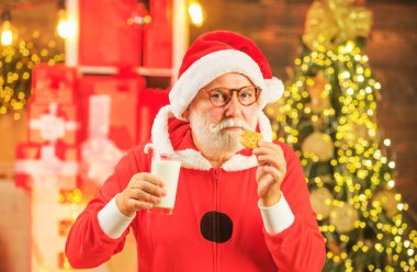 Santa holding cookie and glass of milk on Christmas tree background. Santa Claus enjoying in served gingerbread cake and milk. Happy new year. Portrait of bearded funny man in Santa costume clipart