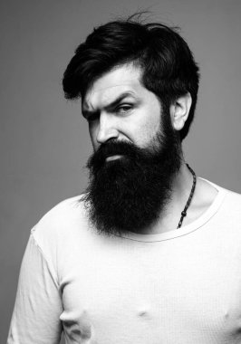 Kendine güvenen ciddi bir adamın portresi. Stüdyodaki hippi adam modelleri. Gri arka planda yakışıklı erkek model