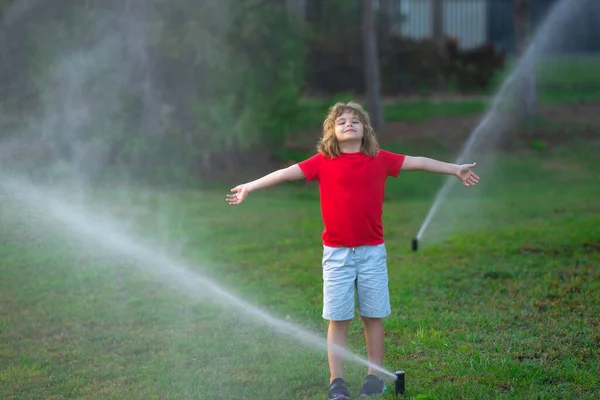 Kid play in garden near irrigation watering sprinkler system. Watering grass with automatic sprinkler. Lawn and gardening concept. Child backyard gardening. Child watering plants, watering sprinkler