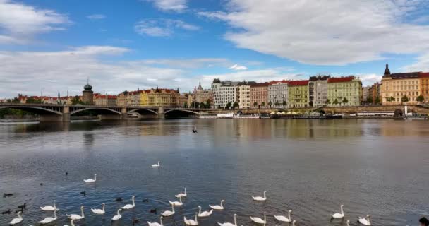 Lotu Ptaka Praga Rzeka Wełtawa Pradze Czechy Panorama Miasta Praga — Wideo stockowe