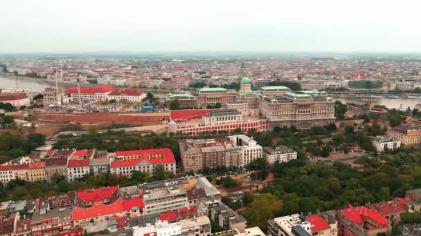 布达佩斯的空中风景 匈牙利多瑙河 匈牙利议会和布达佩斯多瑙河 布达佩斯城市景观的空中景观 从布达佩斯市中心起飞 — 图库视频影像