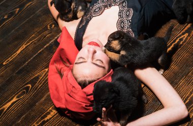 Genç bir kadın ahşap zeminde küçük köpek yavrularıyla oynuyor. Küçük köpek yavruları ev sahibiyle oynuyorlar.