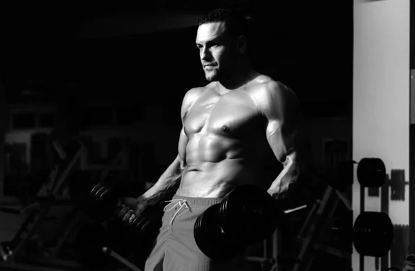 Biceps Halters Oefeningen Bodybuilder Sportschool Training Trainingen Sportman Met Hemdloos — Stockfoto