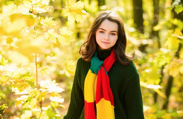 秋天公园里的少女 背景是黄叶 — 图库照片