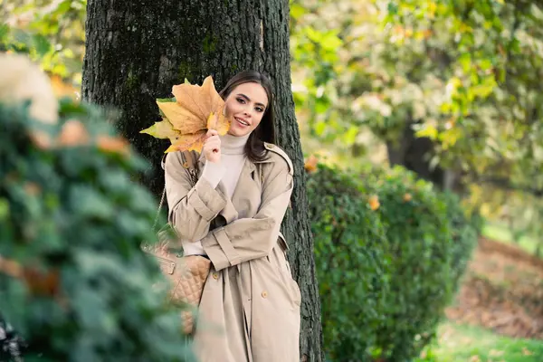 Young woman in autumn park. Warm sunny weather. Fall concept. Hello autumn. Happy woman with autumn yellow leaves outside. Beautiful autumn fall time in nature
