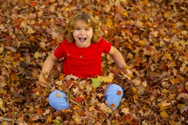 Heyecanlı çocuk, düşen sonbahar yapraklarında oturur. Sonbahar yaprakları içinde bir çocuk. Sonbahar arka planında akçaağaç yapraklı bir çocuk. Çocukların sonbahar sahnesi. Sonbahar, Sonbahar, Şükran Günü. Güzel yaprakları olan çocuk.