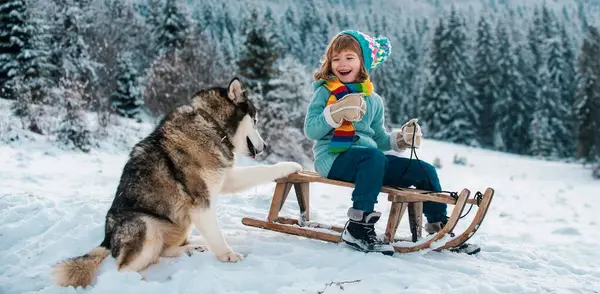 Kind Met Hondenslee Wintersneeuw — Stockfoto