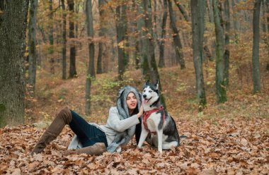 Ruhen vahşi. Koşulsuz sevgi. Sibirya Husky 'sinin en sevdiği hayvan. Hayvan yetiştiriciliği. Güz ormanı köpeğiyle yürüyen şık bir kız. Soylu köpek konsepti. Kız köpeğiyle gezmekten zevk alıyor..