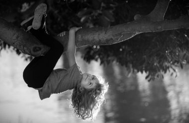 Bahçede oynayan mutlu çocuk ağaca tırmanıyor. Tepetaklak. Çocuklar kırsal kesimde doğayı severler.