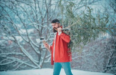 Noel ağacı olan Noel Baba. Genç oduncu beyaz kar arka planında köknar ağacı taşıyor. Kereste portresi kar bahçesinde Noel ağacı kesiyor.