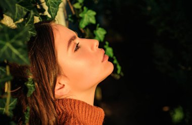 Doğal makyajlı güzel bir modelin profil portresi ve son güneş ışığını yakalayan pürüzsüz bir cilt. Sonbahar kraliçesi. Seksi esmer kadının yakın portresi.