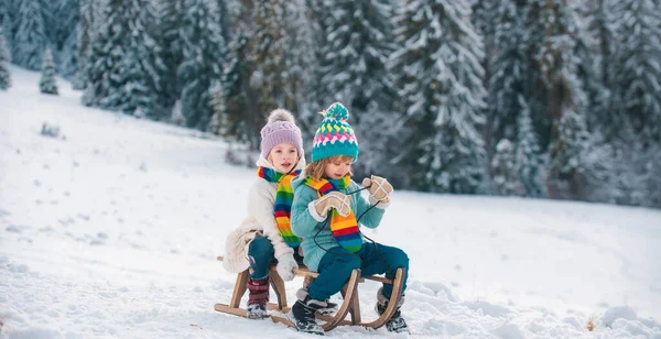 Happy Little Boy Girl Sledding Winter Kids Sibling Riding Snow — Stock Photo, Image