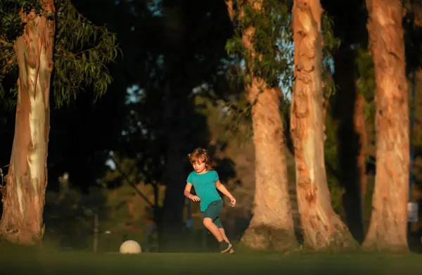 Een Kind Dat Football Speelt Een Voetbalveld Een Jongen Die — Stockfoto