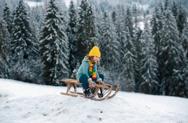 Μικρέ Απόλαυσε Μια Βόλτα Έλκηθρο Παιδικό Έλκηθρο Χειμερινό Χιόνι Οικογενειακές — Φωτογραφία Αρχείου