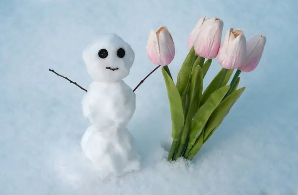 Sneeuwman Met Lentebloemen Tulpen Winter Kerstsneeuwpop Nieuwjaarselement — Stockfoto