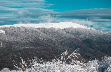 Soğuk ve karlı kış dağları. Kış, karların altında donmuş ağaçlarla. Büyülü kış ormanı. Güzel gökyüzü olan doğal manzara