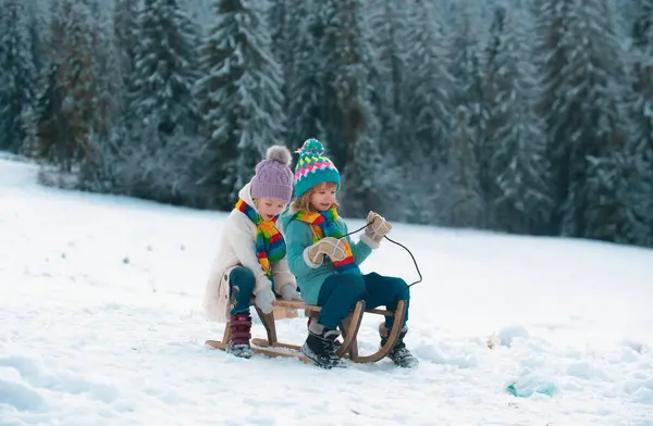 Funny Boy Girl Having Fun Sleigh Winter Cute Children Playing — Stock Photo, Image