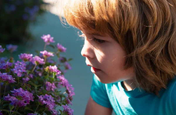 子供の花アレルギー 小さな男の子の花の屋外のにおい 子供が花を嗅ぐ 春の公園 — ストック写真