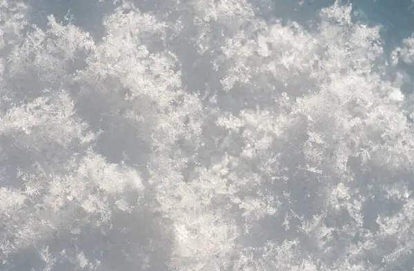 Snow background. Snow texture, Top view of the snow. Texture for design. Snowy white texture