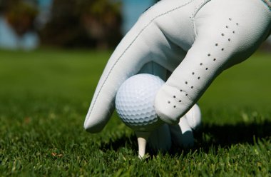 Golf sahasında golf topuna el sürmek. Çimlerde golf topu. Golf topu atışa hazır.