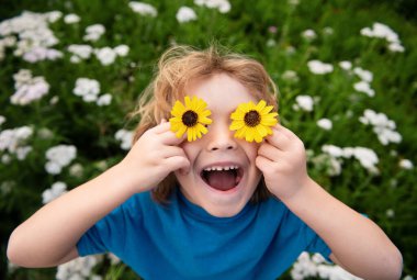 Komik Çocuk ve Papatyalar. Çiçekli mutlu sarı saçlı çocuk. Gözleri papatya çiçekli çimenlerin üzerinde. Papatya tarlasına gülümseyen ve hayal eden çocuk
