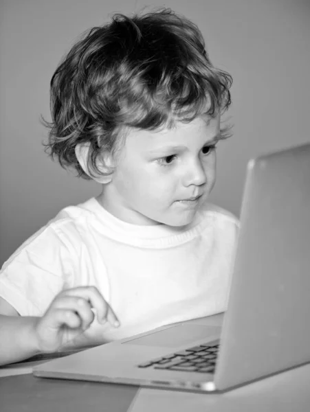 Closeup Portrait Clever Child Boy Pupil Laptop Child Elementary School — Stock Photo, Image