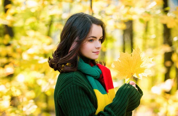 少女手里拿着秋天的叶子 掉进了黄色的枫树里 — 图库照片