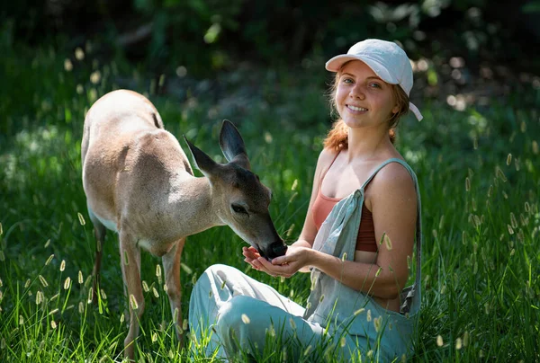 Kobieta Karmi Jelenie Koncepcja Dzikich Zwierząt Kobieta Karmiąca Płowe Zwierzęta — Zdjęcie stockowe