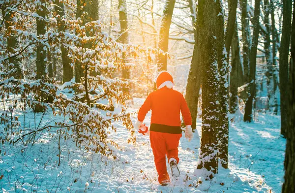 Babbo Natale Costume Rosso Passeggiata Nella Foresta Invernale Consegna Regali — Foto Stock