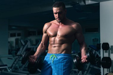 Dambıl egzersizleri. Vücut geliştirici, beden eğitimi pazıları. Spor ve spor. Gövdesiz atletik vücudu olan sporcu.