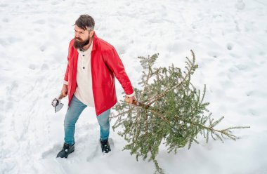 Sakallı bir adam Noel ağacı taşıyor. Buz gibi kış parkında kış adamı. Oduncu gibi poz veren şık bir genç adam. Sakallı bir adam Noel ağacını evine taşıyor.