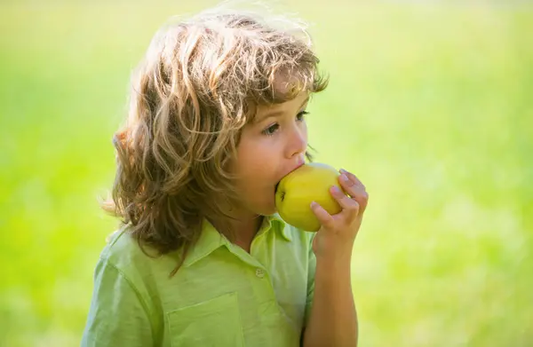 Nettes Kind Junge Isst Einen Apfel Freien — Stockfoto