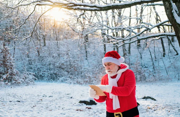 Санта Клаус Списком Рождественских Желаний Приходит Снежный Лес — стоковое фото