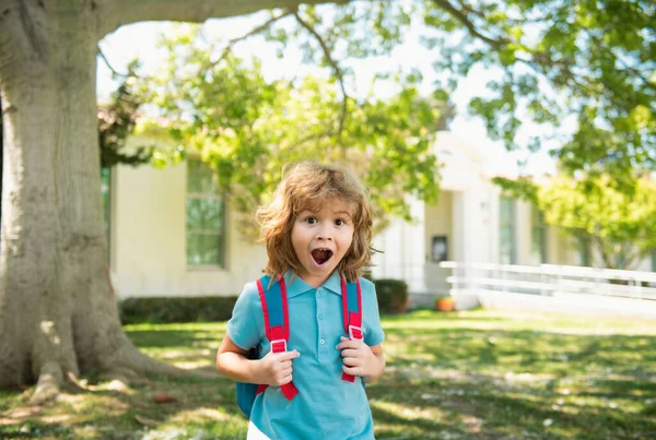 Back School Excited Child Ready Primary School Amazed Pupil First — Stock Photo, Image